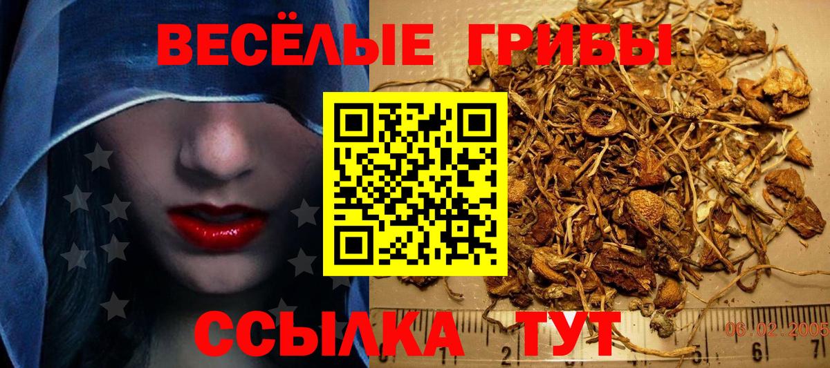 Галлюциногенные грибы ЛСД Минусинск