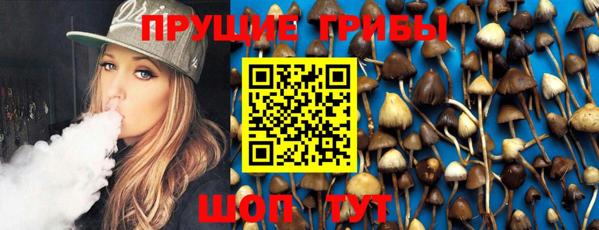 Минусинск  Псилоцибиновые грибы Psilocybine cubensis  Псилоцибиновые грибы мухоморы  Вход с VPN 